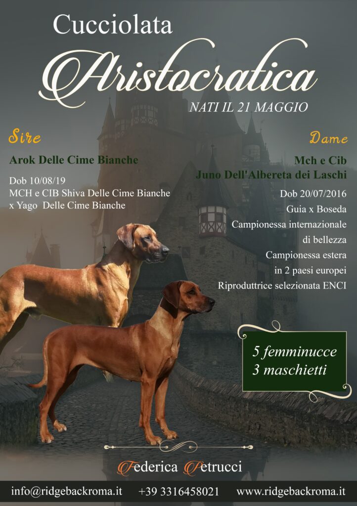 Disponibili cuccioli